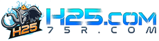 H25